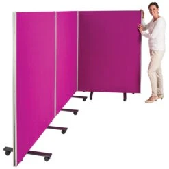 ColourPlus BusyScreen Triple Safety Screens