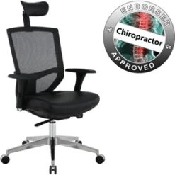 Eve 24/7 Ergonomic Mesh And Leather Task Chair