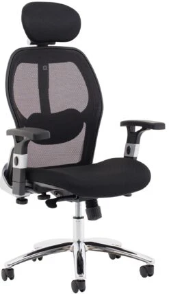 Darwin Ergonomic Mesh Task Chair