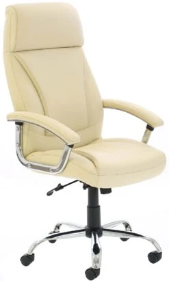 Prospect Executive Office Chair