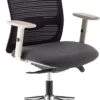 Flow Mesh Office Chair -Office Furniture 072524