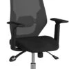 Cassis Mesh Office Chair -Office Furniture 075351